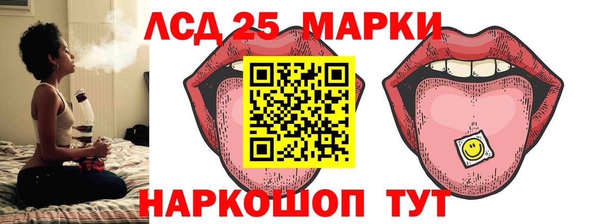 A PVP Красногорск
